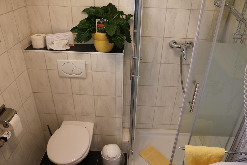 Hotel Brigitte Bad Krozingen Kültér fotó